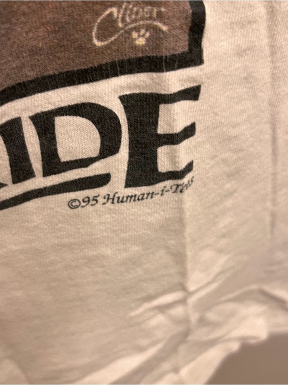 Nature's Pride 1995 Vintage Lion Graphic Tee Distressed - Picture 3 of 5